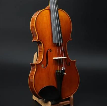 十大十大小提琴品牌排名,紅棉樂器影響力高、鳳靈小提琴售后服務好