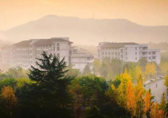 浙江十大名校排名,浙江大學(xué)、浙江工業(yè)大學(xué)都是全國(guó)重點(diǎn)大學(xué)