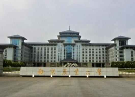 中國十大農業大學排名,中國農業大學、南京農業大學師資力量雄厚
