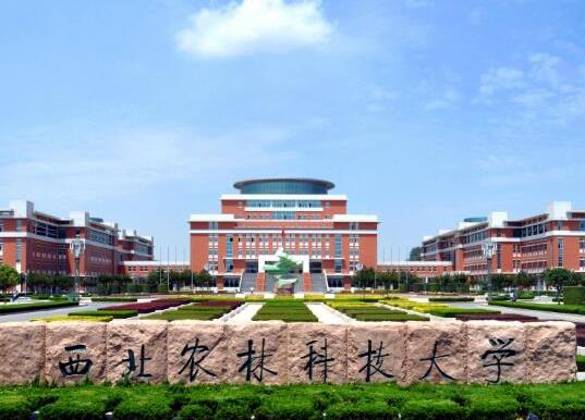 中國十大農業大學排名,中國農業大學、南京農業大學師資力量雄厚