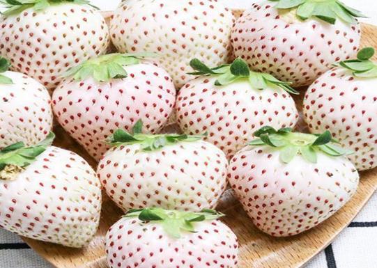 十大高檔水果排行榜,黑西瓜產量很低極其珍貴、白草莓口感香甜