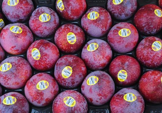 世界最甜的水果排名,釋迦果藥用價值高、沾化冬棗號稱百果王