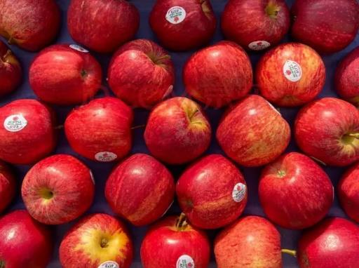 世界最甜的水果排名,釋迦果藥用價值高、沾化冬棗號稱百果王