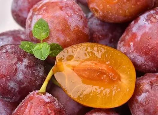 世界最甜的水果排名,釋迦果藥用價值高、沾化冬棗號稱百果王