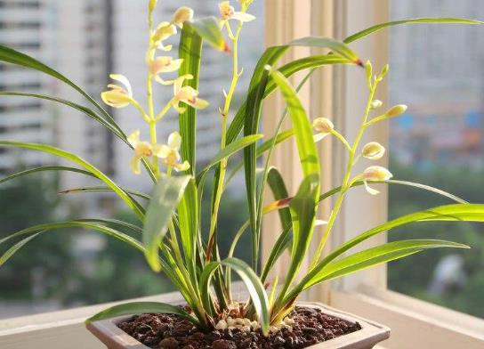 ʮFܼͥmǳͺĵǸF