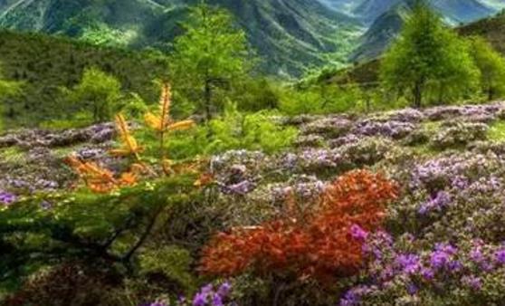 云南十大情侶必去的旅游景點(diǎn) 云南十大情侶必去的旅游景點(diǎn)在哪里