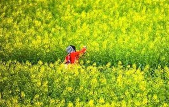 云南十大情侶必去的旅游景點(diǎn) 云南十大情侶必去的旅游景點(diǎn)在哪里