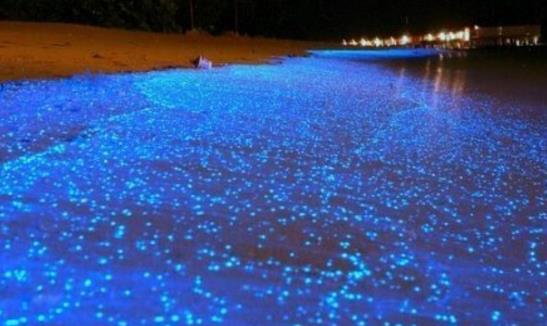 全球最有特色的沙灘排行榜 全球最有特色的沙灘在哪里