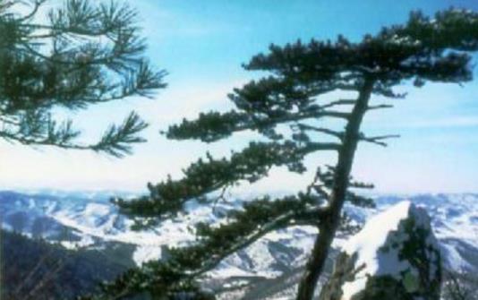 遼寧鐵嶺市十大旅游景點排行榜 鐵嶺有什么好玩的地方去旅游