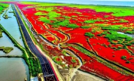 遼寧省盤錦市十大旅游景點排行榜 盤錦有什么好玩的地方去旅游