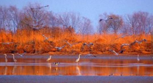 河北省衡水市十大旅游景點排行榜 衡水有什么好玩的地方去旅游