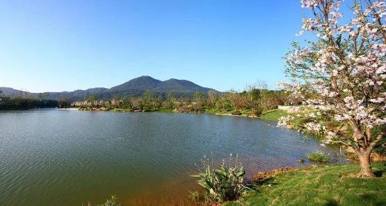 黑龍江省鶴崗十大旅游景點排行榜 鶴崗有什么好玩的地方