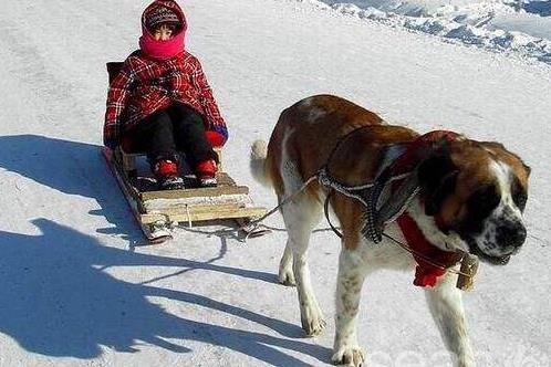 黑龍江省佳木斯十大旅游景點排行榜 佳木斯有什么好玩的地方