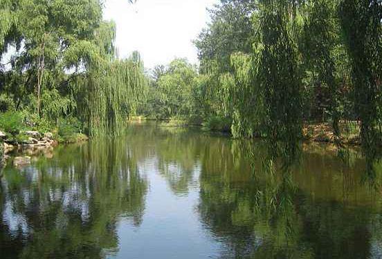 黑龍江省鶴崗十大旅游景點排行榜 鶴崗有什么好玩的地方