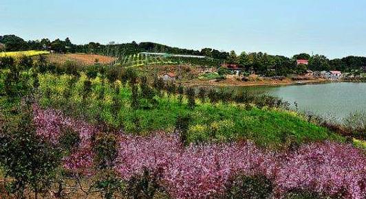 黑龍江省佳木斯十大旅游景點排行榜 佳木斯有什么好玩的地方