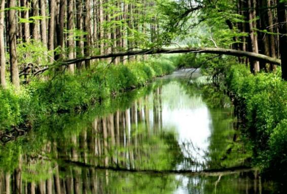 江蘇省泰州市十大旅游景點排行榜 泰州有什么好玩的地方