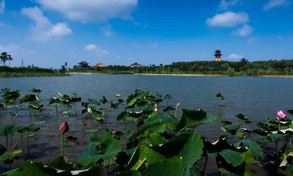 江蘇省泰州市十大旅游景點排行榜 泰州有什么好玩的地方