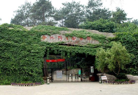 安徽省合肥市十大旅游景點(diǎn)排行榜 合肥有什么好玩的地方