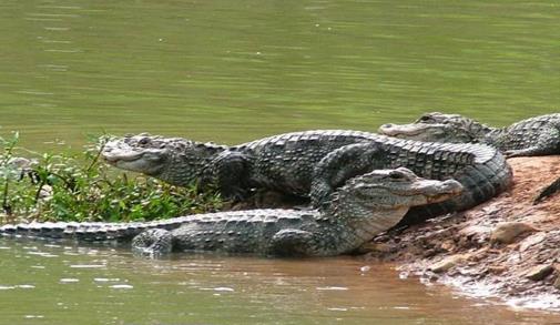 安徽省宣城市十大旅游景點排行榜 宣城有什么好玩的地方