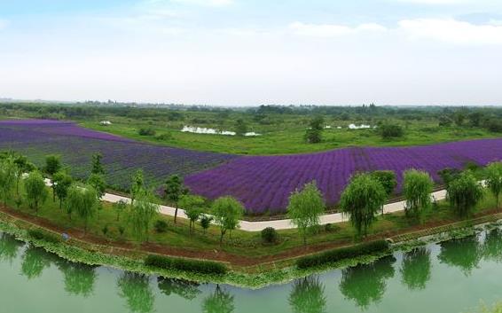 安徽省蕪湖市十大旅游景點排行榜 蕪湖有什么好玩的地方