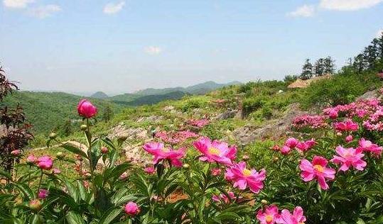 安徽省蕪湖市十大旅游景點排行榜 蕪湖有什么好玩的地方