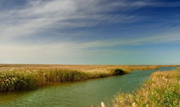 山東省東營市十大旅游景點(diǎn)排行榜 東營有什么好玩的地方