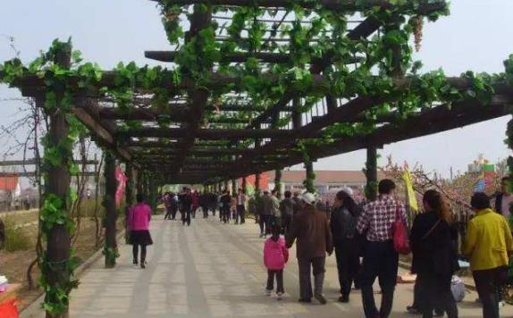 山東省東營市十大旅游景點(diǎn)排行榜 東營有什么好玩的地方