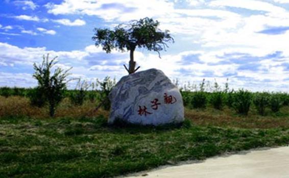 山東省東營市十大旅游景點(diǎn)排行榜 東營有什么好玩的地方