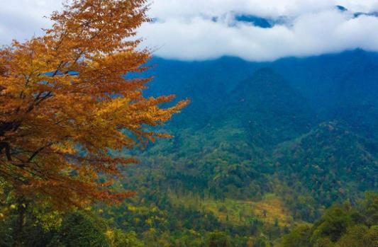 四川省樂山市十大旅游景點排行榜 樂山有什么好玩的地方