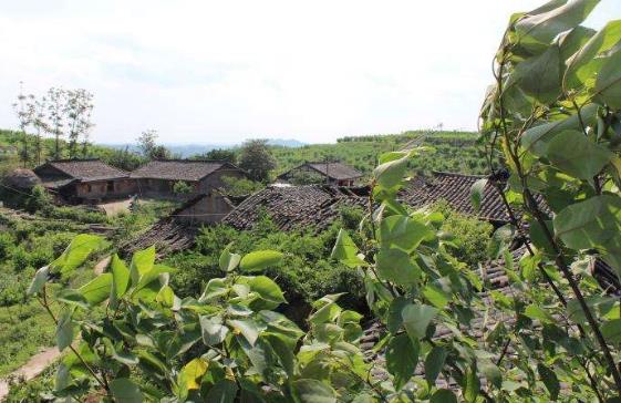 四川省廣安市十大旅游景點排行榜 廣安有什么好玩的地方