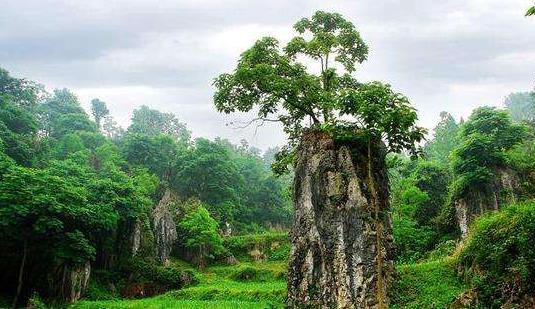 四川省廣安市十大旅游景點排行榜 廣安有什么好玩的地方