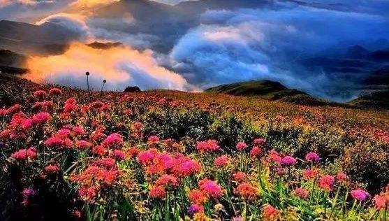 貴州省畢節市十大旅游景點排行榜 畢節有什么好玩的地方