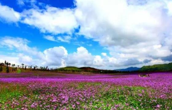 貴州省黔西南州十大旅游景點排行榜 黔西南州有什么好玩的地方
