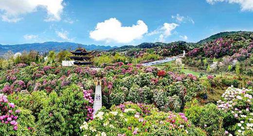 貴州省畢節市十大旅游景點排行榜 畢節有什么好玩的地方