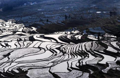 云南省紅河市十大旅游景點排行榜 紅河有什么好玩的地方