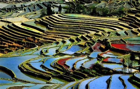 云南省紅河市十大旅游景點排行榜 紅河有什么好玩的地方