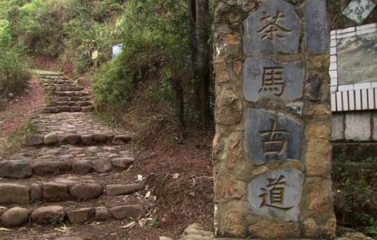 云南省普洱市十大旅游景點排行榜 普洱有什么好玩的地方