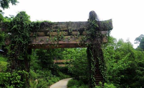 云南省臨滄市十大旅游景點排行榜 臨滄有什么好玩的地方