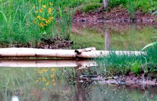 云南省普洱市十大旅游景點排行榜 普洱有什么好玩的地方