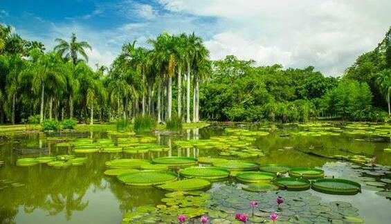 云南省西雙版納市十大旅游景點排行榜 西雙版納有什么好玩的地方