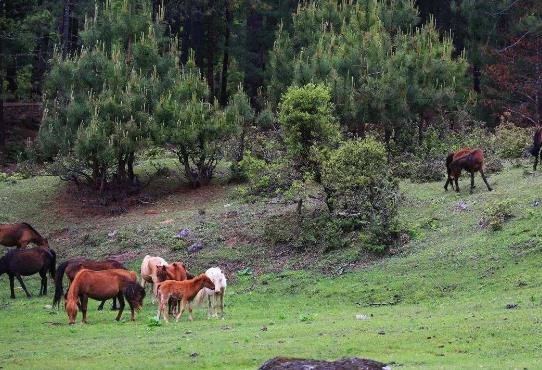 云南省怒江市十大旅游景點(diǎn)排行榜 怒江有什么好玩的地方