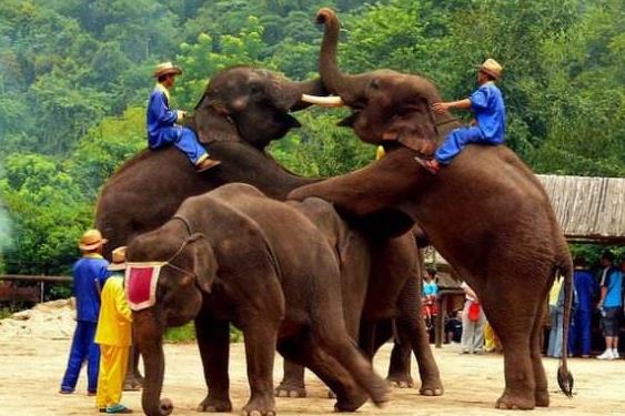 云南省西雙版納市十大旅游景點排行榜 西雙版納有什么好玩的地方