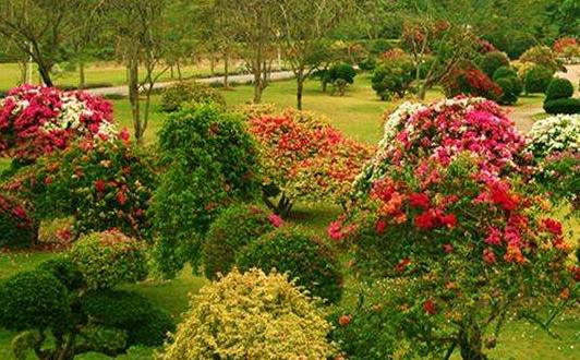 云南省西雙版納市十大旅游景點排行榜 西雙版納有什么好玩的地方