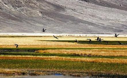 西藏那曲十大旅游景點排行榜 那曲有什么好玩的地方