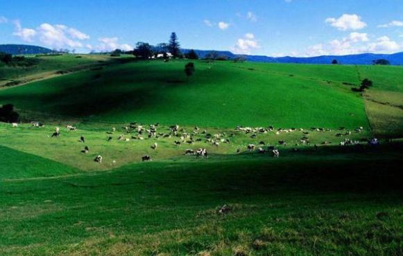西藏昌都十大旅游景點排行榜 昌都有什么好玩的地方