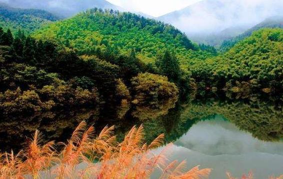 河南省信陽市十大旅游景點排行榜 信陽有什么好玩的地方