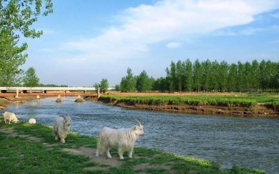 河南省周口市十大旅游景點排行榜 周口店有什么好玩的地方