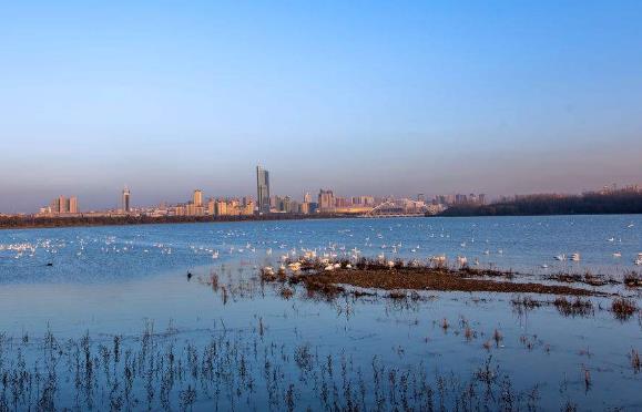 河南省三門峽市十大旅游景點排行榜 三門峽有什么好玩的地方