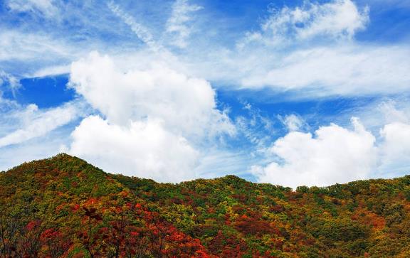 河南省三門峽市十大旅游景點排行榜 三門峽有什么好玩的地方