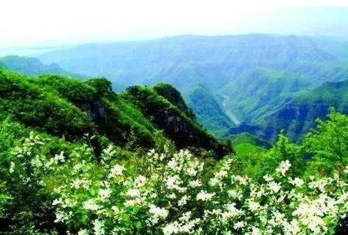 河南省三門峽市十大旅游景點排行榜 三門峽有什么好玩的地方